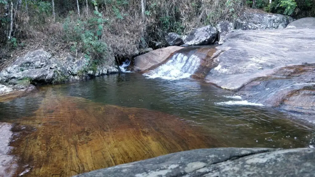 beija flor Patrimônio da Penha