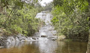 Oque Fazer em Patrimônio da Penha